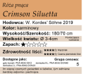 cechy róży pnącej Crimson Siluetta