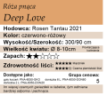 cechy róży pnącej Deep Love