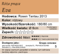 cechy róży pnącej Eva