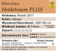 cechy róży pnącej Heidetraum Plus.png