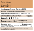 cechy róży pnącej Konfetti