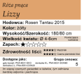 cechy róży pnącej Lizzy
