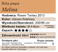 cechy róży pnącej Melina