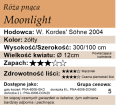 cechy róży pnącej Moonlight