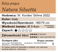 cechy róży pnącej Natura Siluetta.png