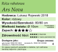 Cechy róży rabatowej Ars Nova