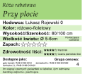 cechy róży rabatowej Przy płocie.png