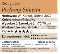 cechy róży Perfumy Siluetta