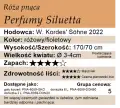cechy róży pnącej Perfumy Siluetta