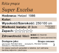 cechy róży pnącej Super Excelsa