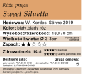 cechy róży pnącej Sweet Siluetta