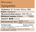 cechy róży pnącej Sympathie