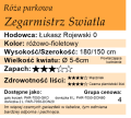 Cechy róży parkowej Zegarmistrz Światła