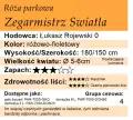 Cechy róży parkowej Zegarmistrz Światła