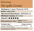 Skrzydla-Gromu.webp
