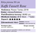 Kaffe Fassett Rose.png