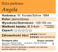 Angela.png