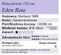 eden120.png