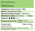 Molineux (1).webp