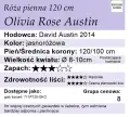 Olivia-Rose-Austin- pienna 120.webp