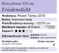 friedenslicht120.png
