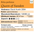 Queen-of-Sweden.webp