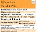 Wild-Edric.webp