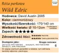 Wild-Edric.webp