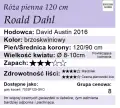 Roald-Dahl-120.webp