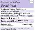 Roald-Dahl-120.webp