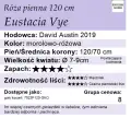 Eustacia-Vye pienna 120.webp
