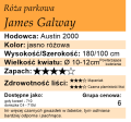 James-Galway1.webp