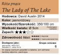 The-Lady-of-The-Lake.webp