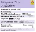 Apfelblute-120.webp