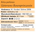 Uetersens Rosenprinzessin