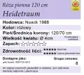 Heidetraum120.webp