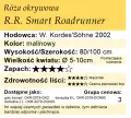R.R.-Smart-Roadrunner.webp