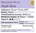 Stadt-Rom90.webp