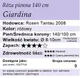 cechy róży Giardina