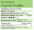 Auguste Escoffier