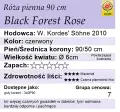 cechy róży black forest 90cm