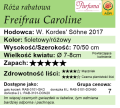 Freifrau Caroline