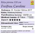 fraifraucaroline120.png