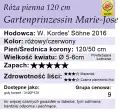 marie-jose120.png