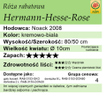 cechy róży Hermann-Hesse-Rose
