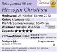 Herzogin Christiana 90cm
