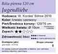 jugendliebe120.png