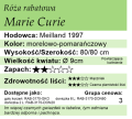 marie Curie.png