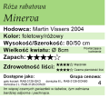 Minerva