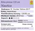 nautica120.png